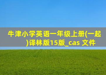 牛津小学英语一年级上册(一起)译林版15版_cas 文件